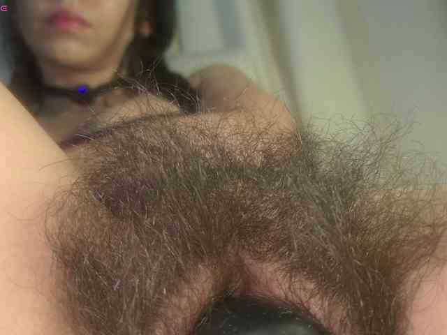 Luneva webcam