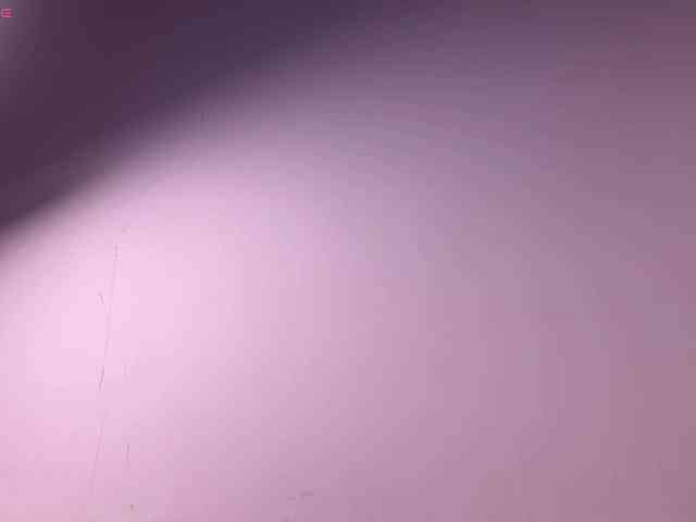 Luneva webcam