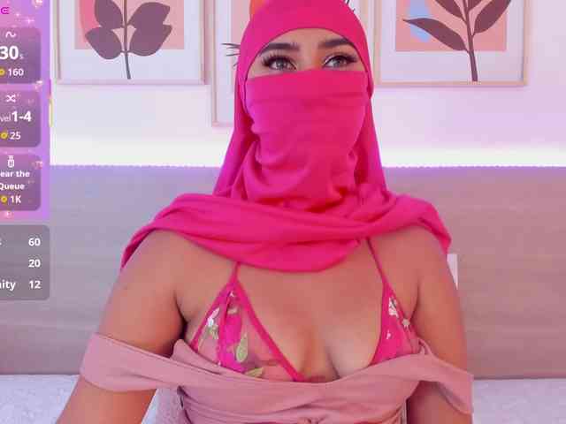 Dakshaa webcam