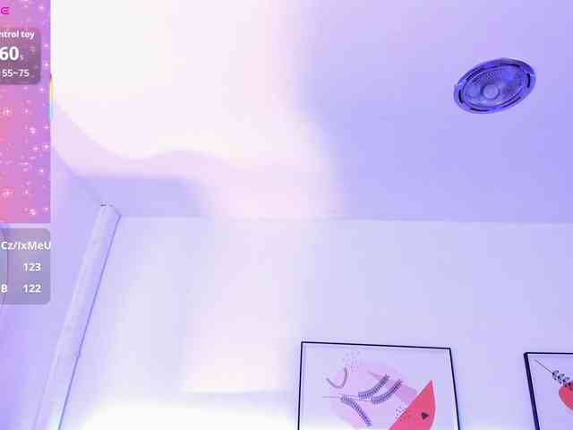 Dakshaa webcam