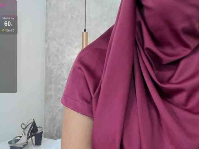 Dakshaa webcam