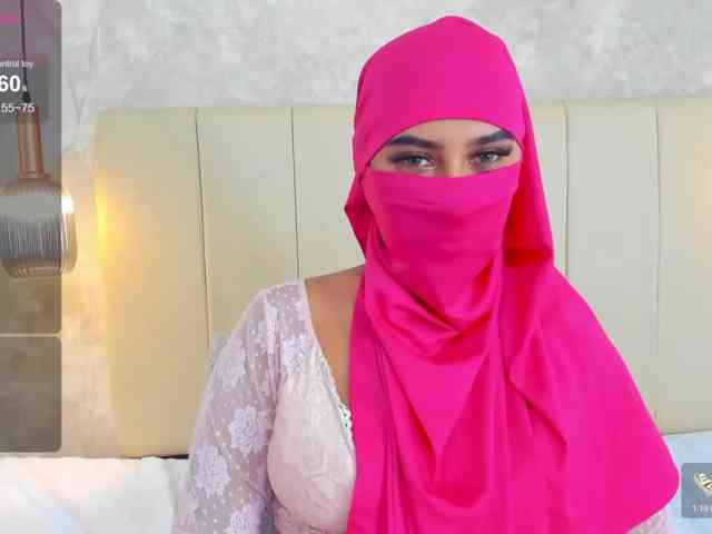 Dakshaa webcam