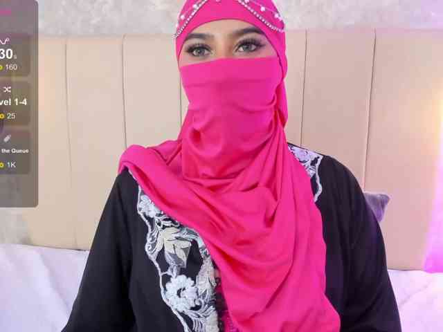 Dakshaa webcam