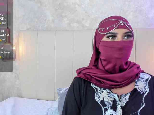 Dakshaa webcam