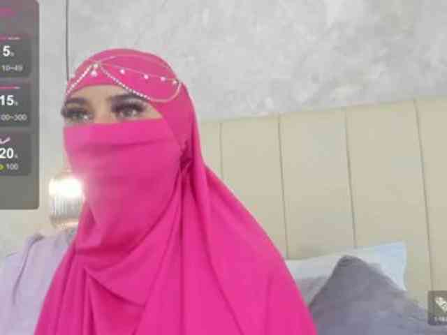 Dakshaa webcam