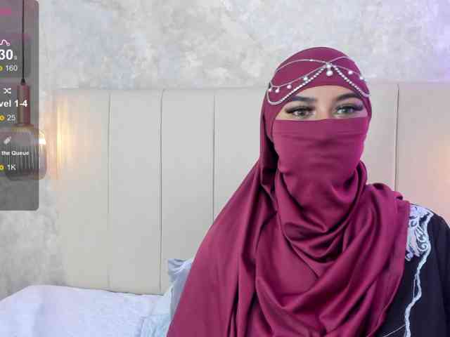Dakshaa webcam