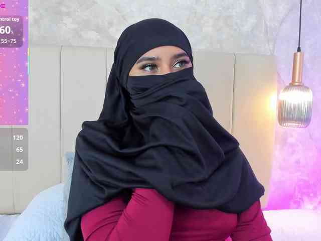 Dakshaa webcam