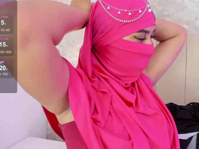 Dakshaa webcam