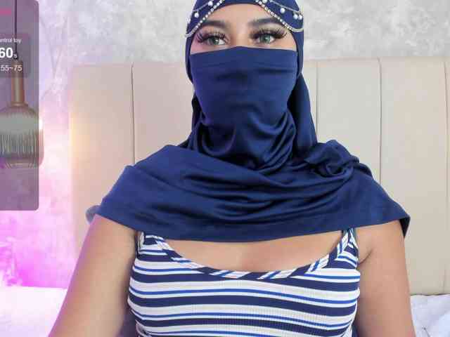Dakshaa webcam