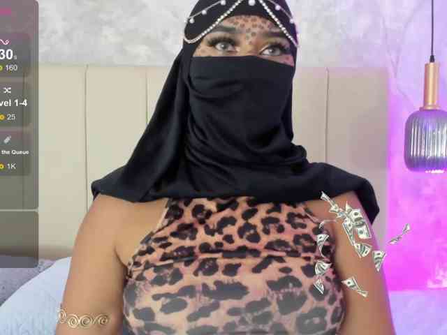 Dakshaa webcam