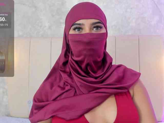 Dakshaa webcam