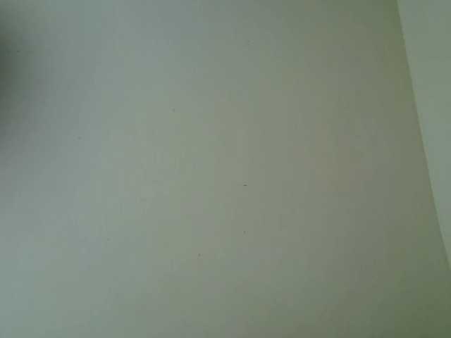 PetiteBunnny's BongaCams show and profile