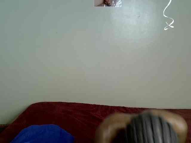 PetiteBunnny webcam