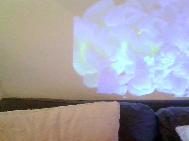 Cantii Canlı Cam: BongaCams