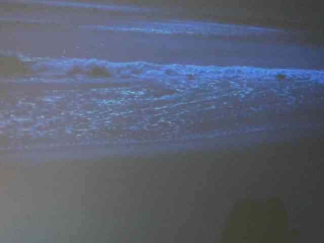 NuIdura webcam
