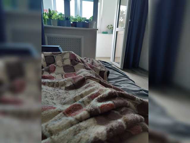 123DAMir