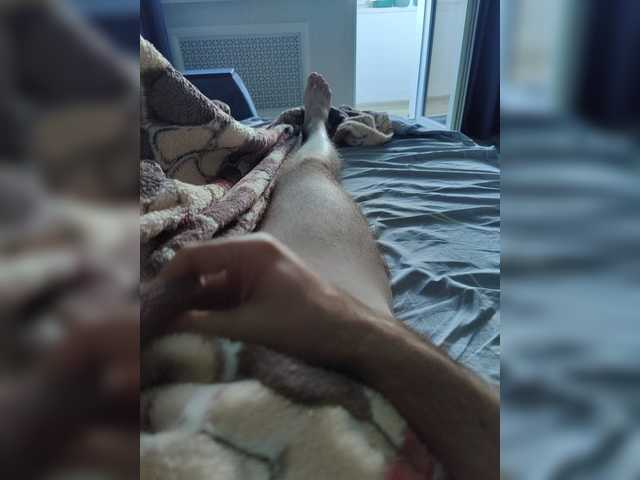 123DAMir