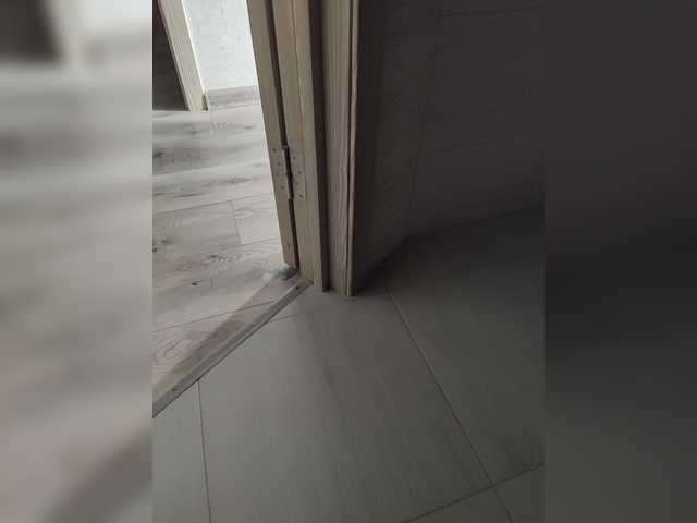 123DAMir