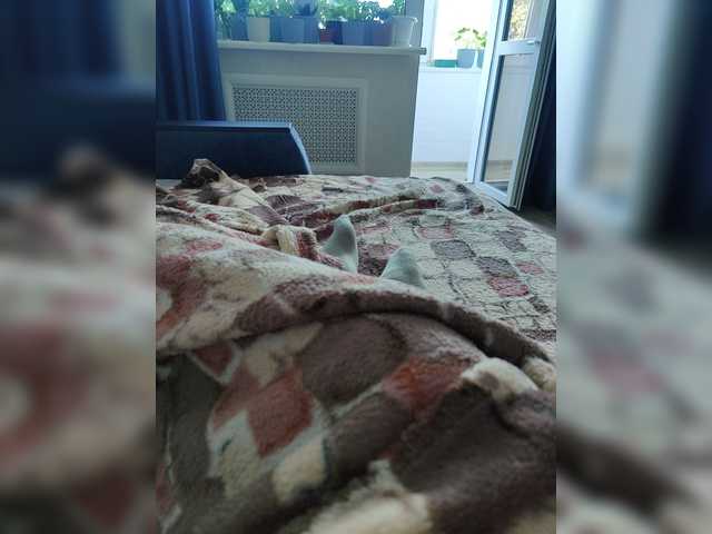 123DAMir