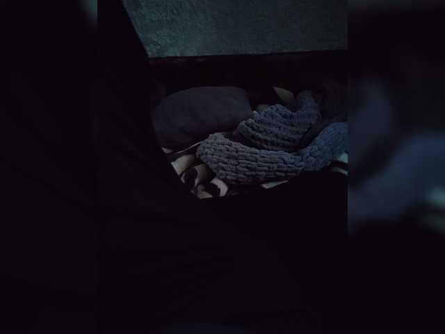123DAMir