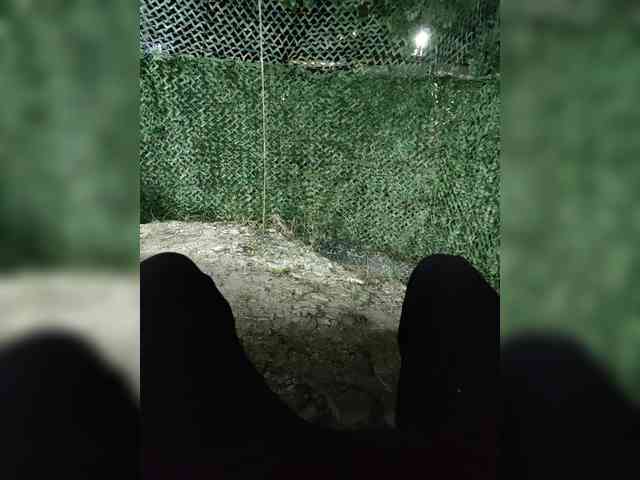 123DAMir 123DAMir