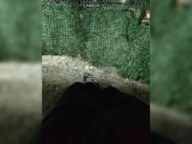 123DAMir