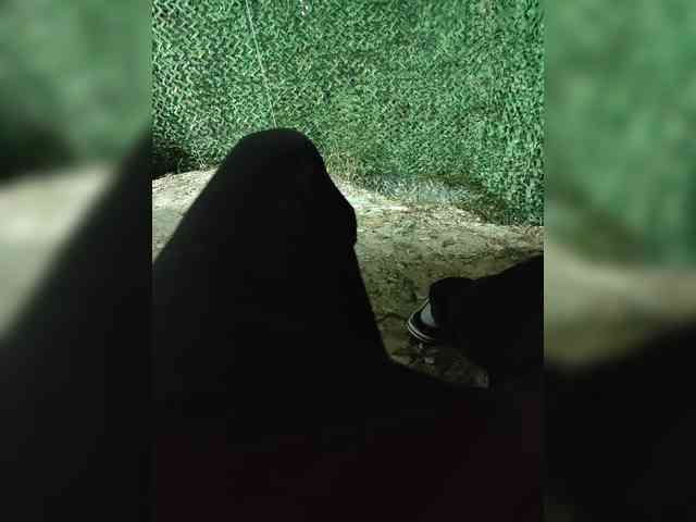 123DAMir
