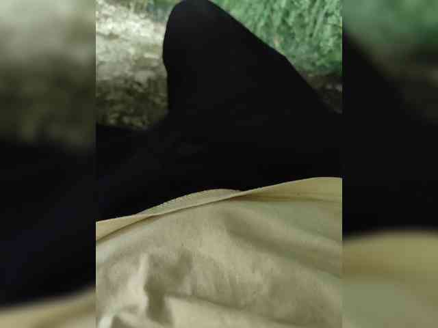 123DAMir 123DAMir
