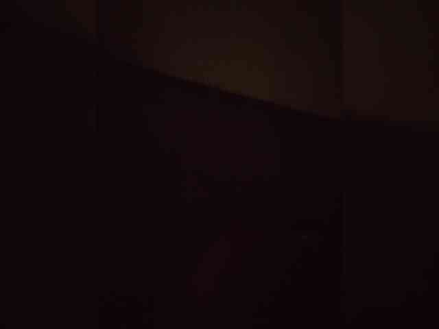 123DAMir