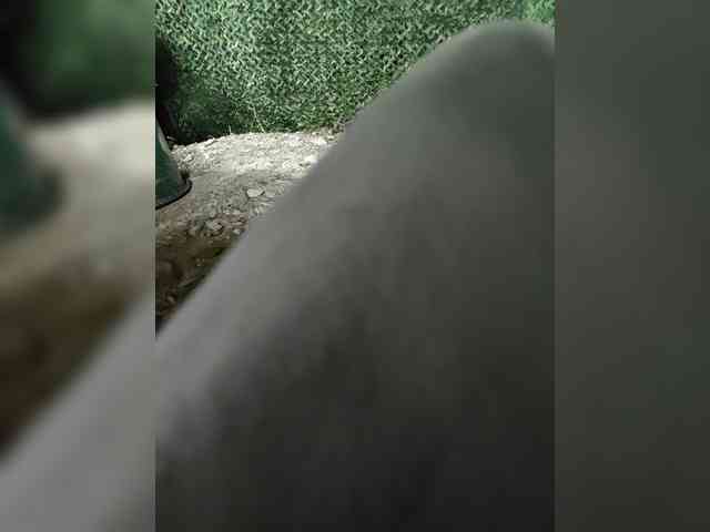 123DAMir 123DAMir
