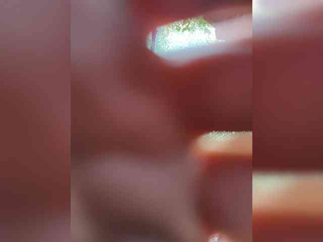 123DAMir 123DAMir