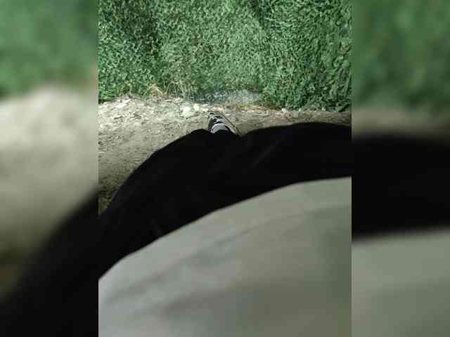 123DAMir