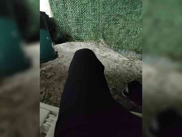 123DAMir