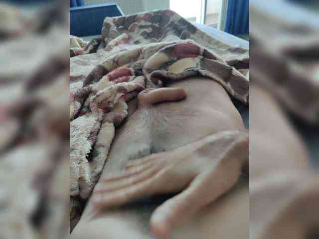 123DAMir