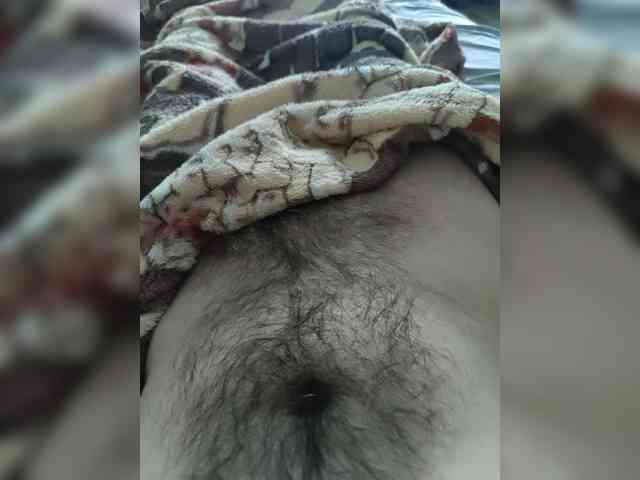 123DAMir 123DAMir