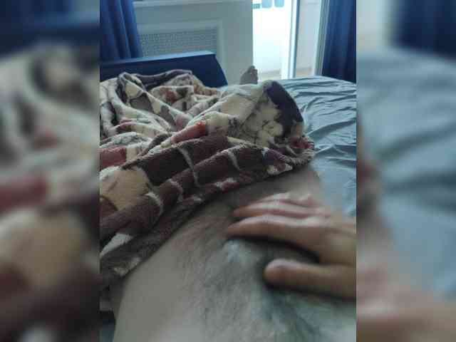 123DAMir