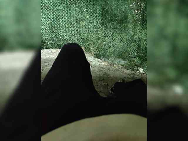 123DAMir