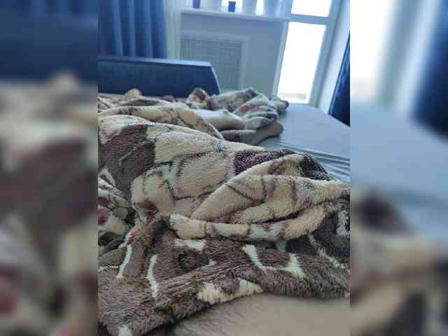 123DAMir Live Webcam on BongaCams