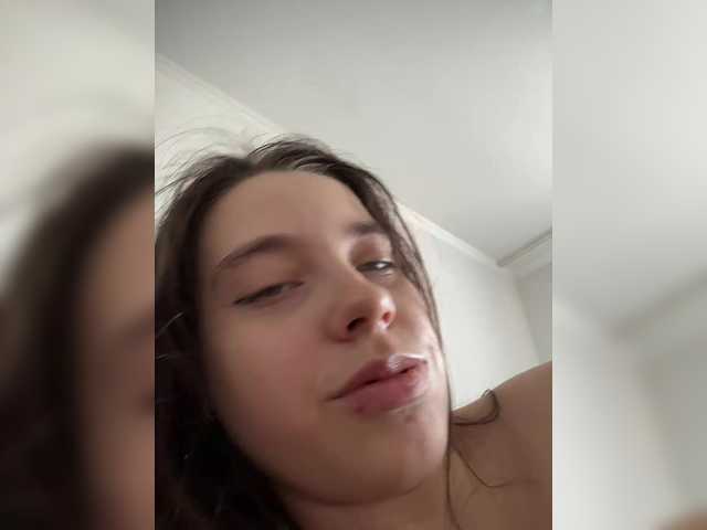 kotki27 online