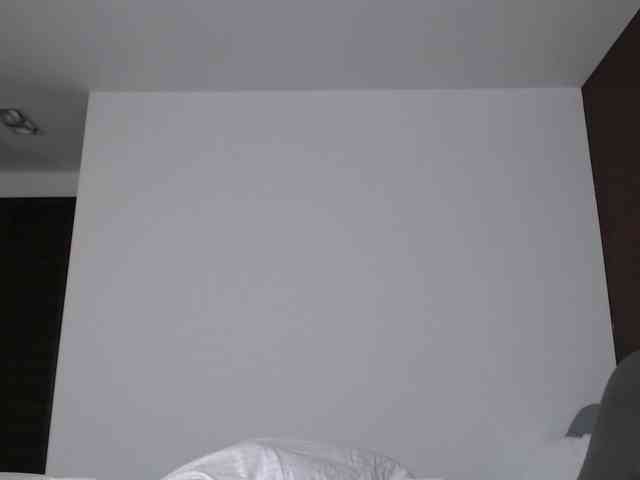 jessicahbellisima webcam