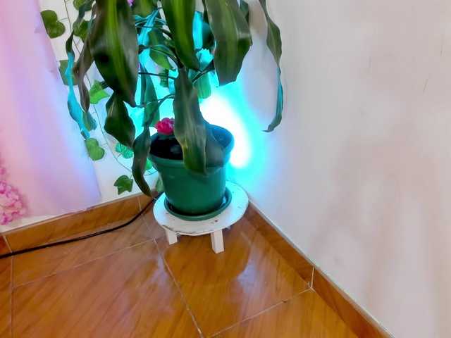 Gemasweet live cam preview