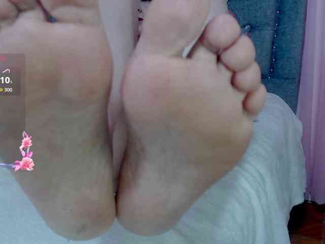 Gemasweet webcam