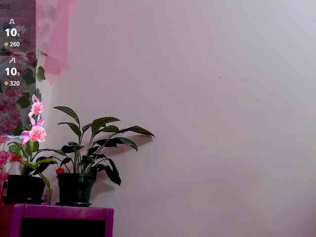 Gemasweet webcam