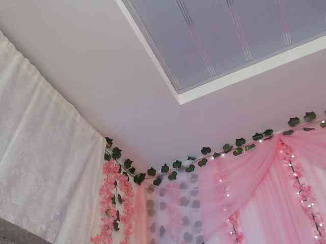 Gemasweet webcam