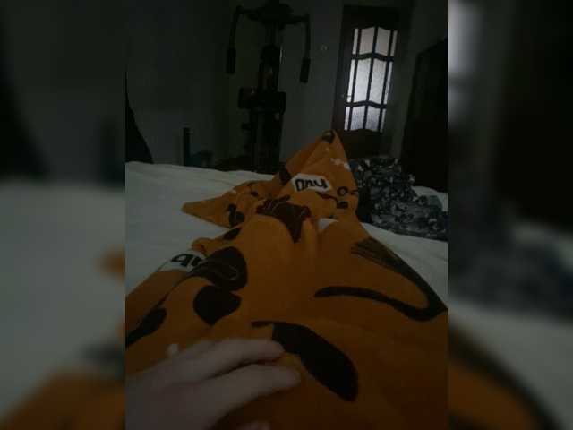 Alexsandr231