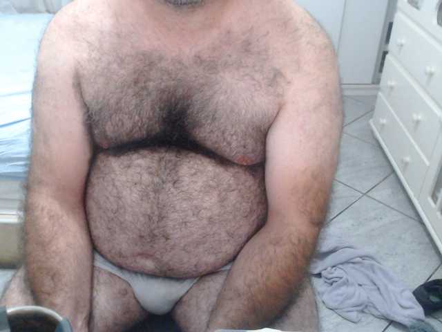 thebestbearmg live cam