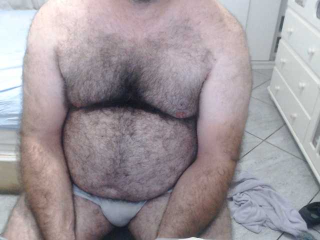 thebestbearmg live cam