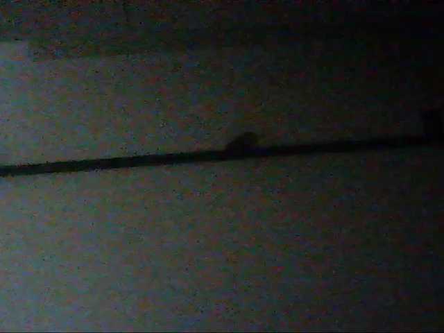 Preview of paranormalnih199