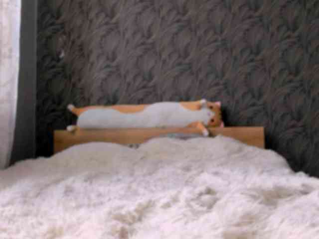 SaraKox webcam