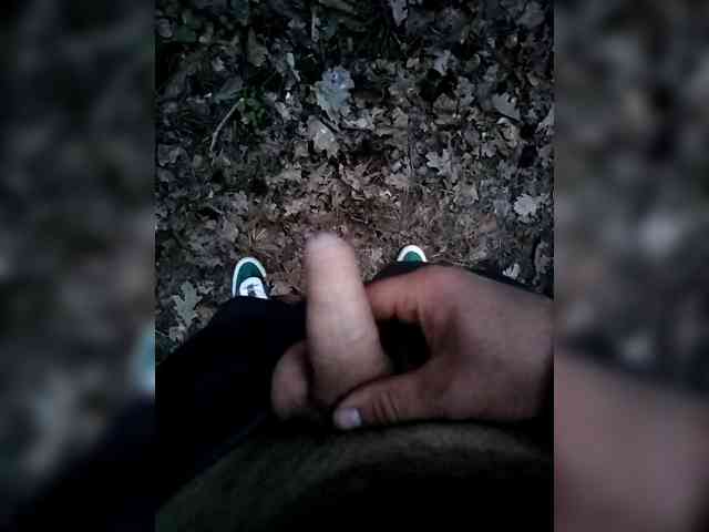 Vasa-321 Live Webcam on BongaCams